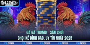 Đá Gà Thomo - Sân Chơi Chọi Kê Đỉnh Cao, Uy Tín Nhất 2025